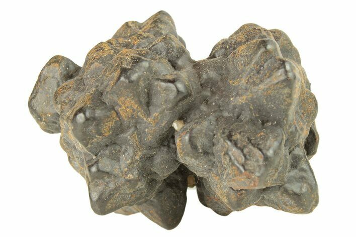 Goethite (Limonite) Pseudomorph after Pyrite/Marcasite - Egypt #257304